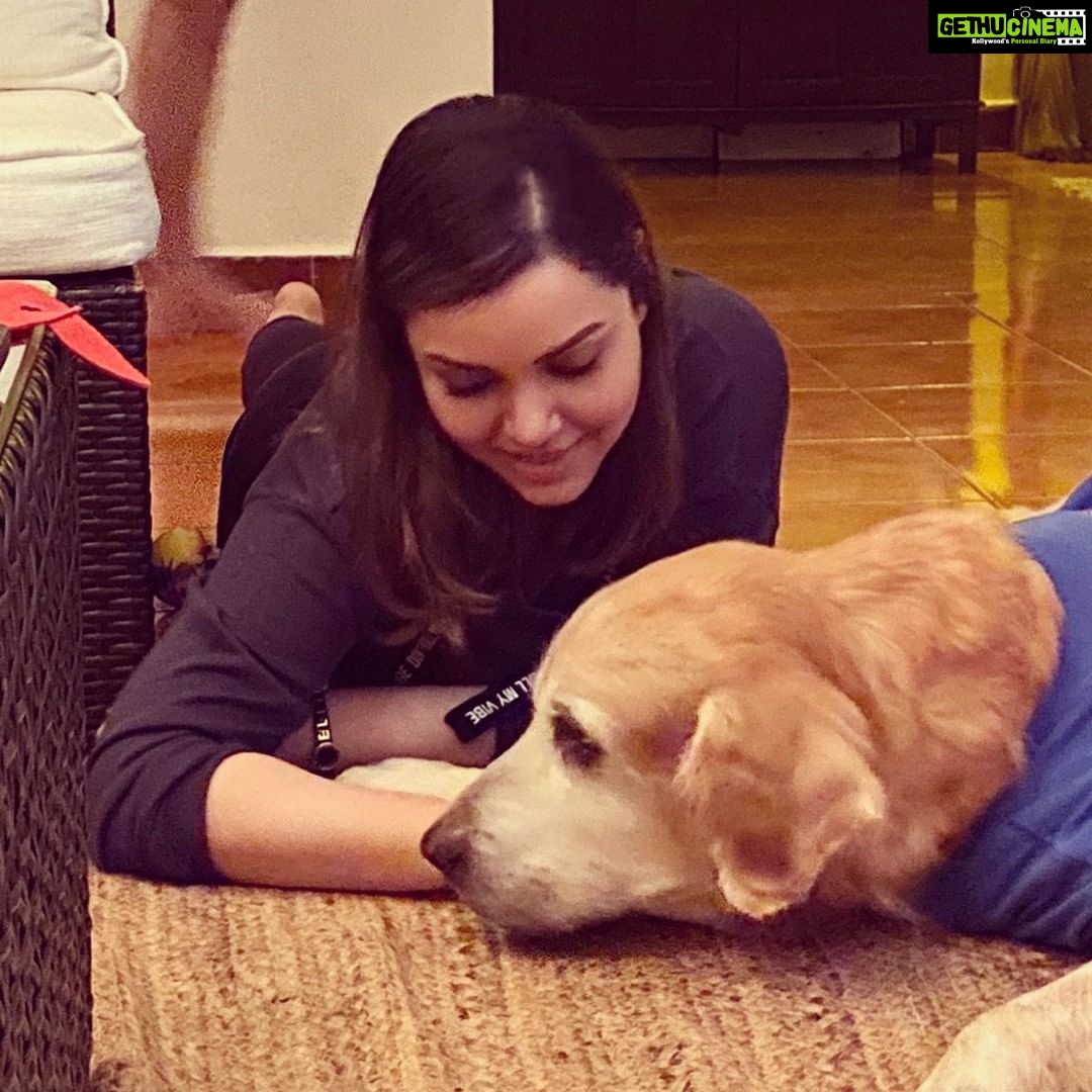 Kyra Dutt Instagram - I’m Loving Memory Of Our Darling Boy #Napoleon❤️ R.I.P Champ!🌹 You will be missed.