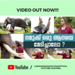 Lakshmi Nakshathra Instagram - To watch the full video , check out the link in bio ✌️ #lakshminakshathra