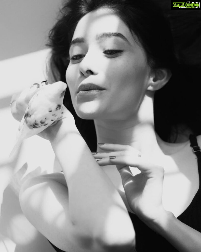 Leena Jumani Instagram - Khwaabon ke parindey🕊 📸- @srinath_rao88 #black&white #photoshoot #manymorepicstocome