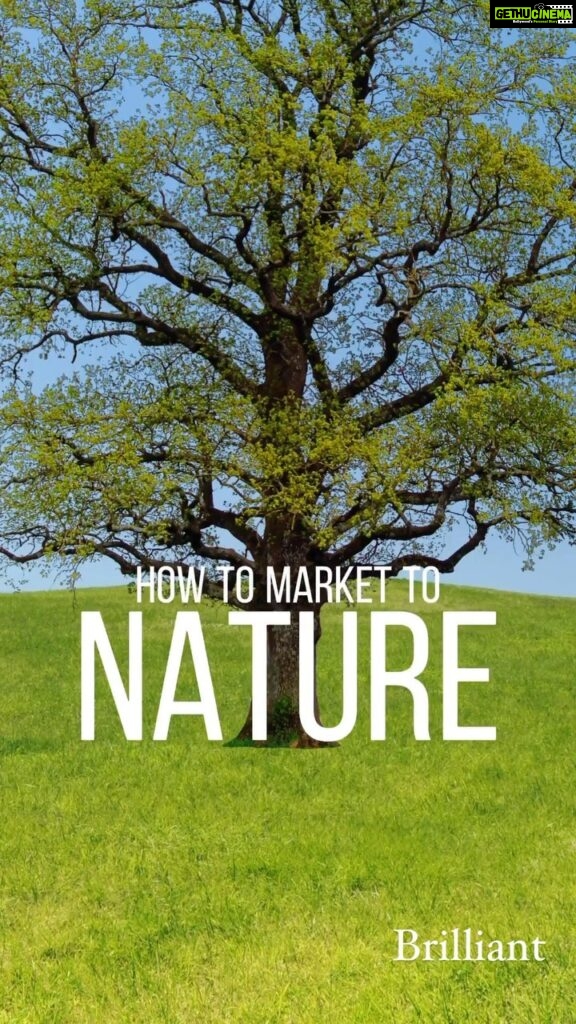 Lisa Ray Instagram - How to Market to Nature @taliablank.studio
