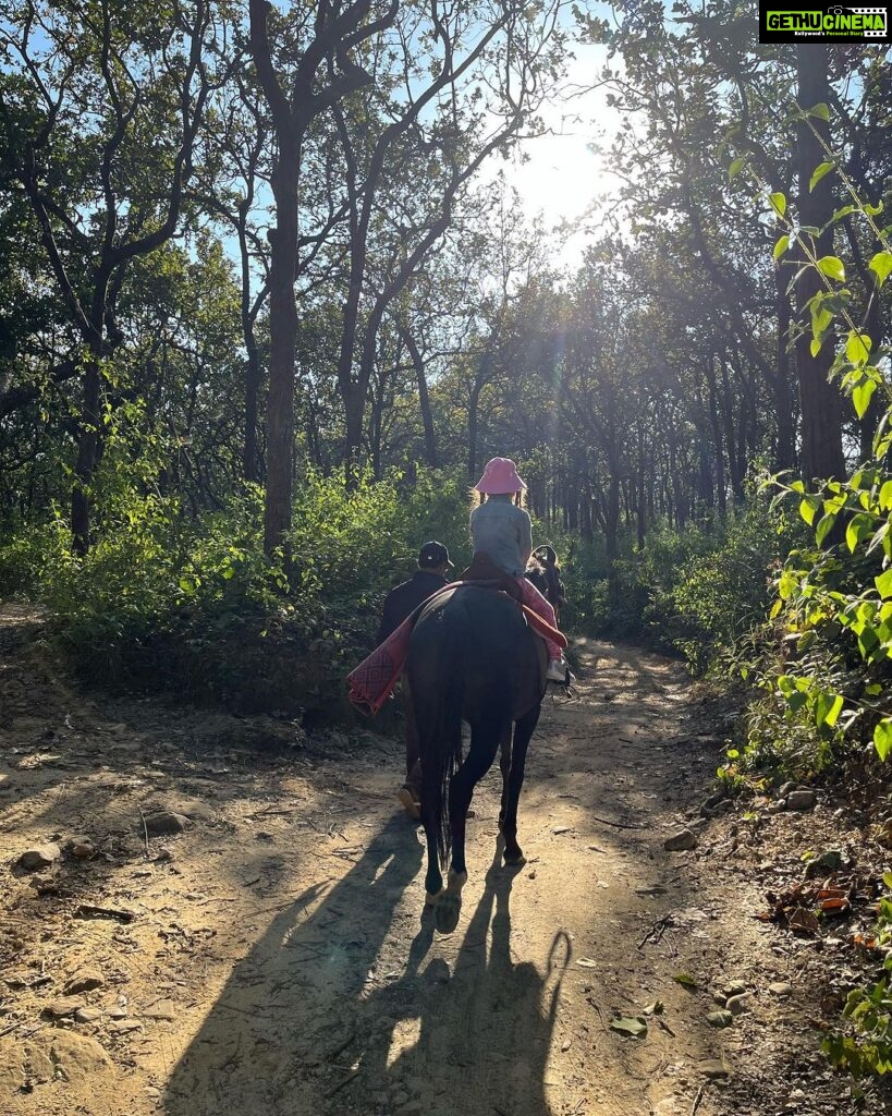 Lisa Ray Instagram - We had the most special pahadi experience riding through a canopy of Sal trees in Malsi forest organised by @hyattregencydehradun I grew up roaming in the woods and I believe the most essential legacy that can be left to the next generation is a deep reverence for nature. Thank you @hyattregencydehradun for making Sufi and Soleil’s day! By the way, the Sal tree is believed to be the “House of the Tribal Goddess” and is valued as a holy tree 🌳 Malsi Dear Park, Dehradun