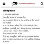 Lisa Ray Instagram – W I L D P E A C E

By Yehuda Amichai, eminent Israeli poet and author

#yehudaamichai #Israelipoet #peace