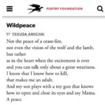 Lisa Ray Instagram - W I L D P E A C E By Yehuda Amichai, eminent Israeli poet and author #yehudaamichai #Israelipoet #peace