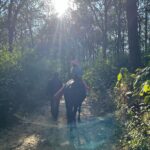 Lisa Ray Instagram - We had the most special pahadi experience riding through a canopy of Sal trees in Malsi forest organised by @hyattregencydehradun I grew up roaming in the woods and I believe the most essential legacy that can be left to the next generation is a deep reverence for nature. Thank you @hyattregencydehradun for making Sufi and Soleil’s day! By the way, the Sal tree is believed to be the “House of the Tribal Goddess” and is valued as a holy tree 🌳 Malsi Dear Park, Dehradun