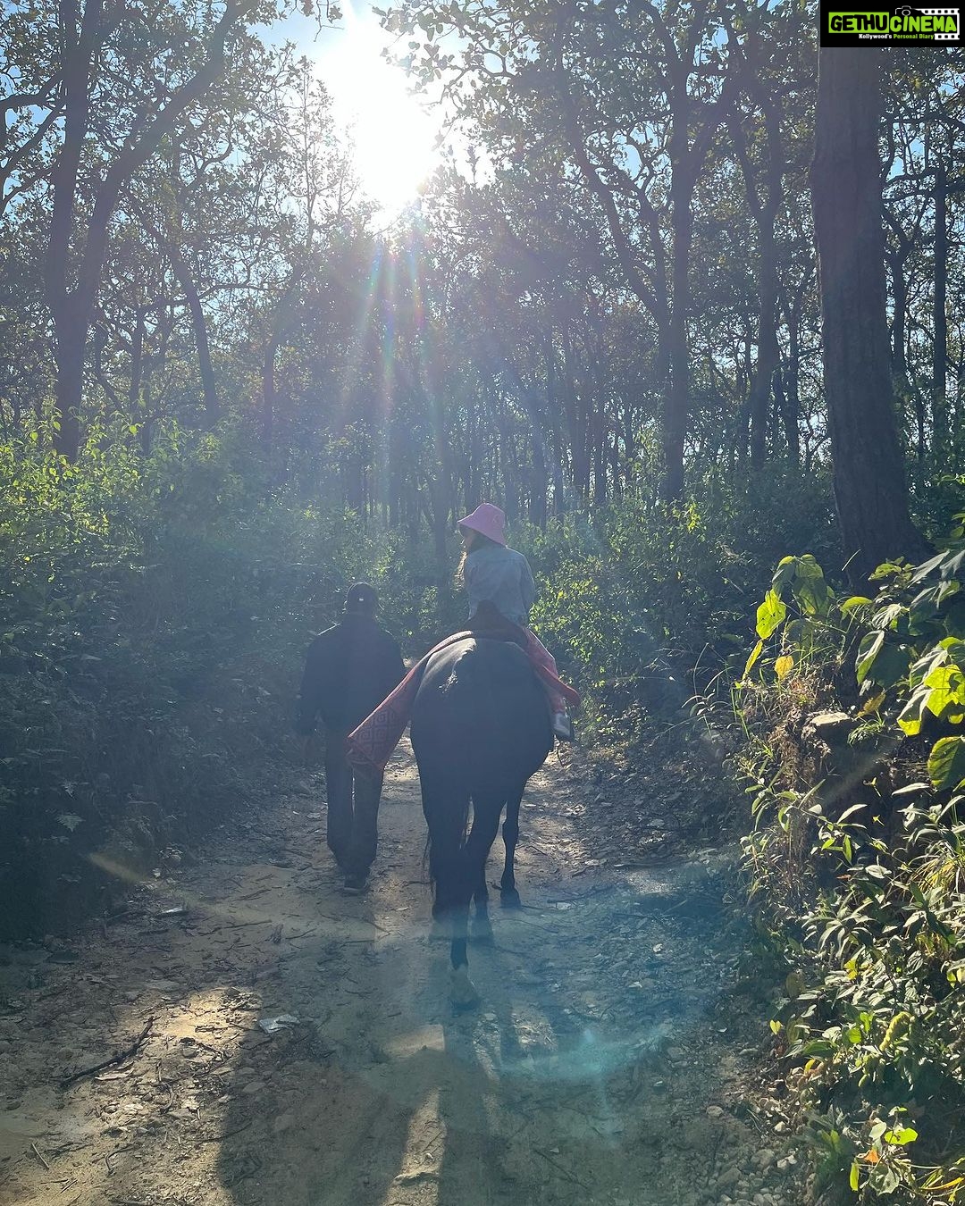Lisa Ray Instagram - We had the most special pahadi experience riding through a canopy of Sal trees in Malsi forest organised by @hyattregencydehradun I grew up roaming in the woods and I believe the most essential legacy that can be left to the next generation is a deep reverence for nature. Thank you @hyattregencydehradun for making Sufi and Soleil’s day! By the way, the Sal tree is believed to be the “House of the Tribal Goddess” and is valued as a holy tree 🌳 Malsi Dear Park, Dehradun