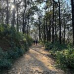 Lisa Ray Instagram - We had the most special pahadi experience riding through a canopy of Sal trees in Malsi forest organised by @hyattregencydehradun I grew up roaming in the woods and I believe the most essential legacy that can be left to the next generation is a deep reverence for nature. Thank you @hyattregencydehradun for making Sufi and Soleil’s day! By the way, the Sal tree is believed to be the “House of the Tribal Goddess” and is valued as a holy tree 🌳 Malsi Dear Park, Dehradun