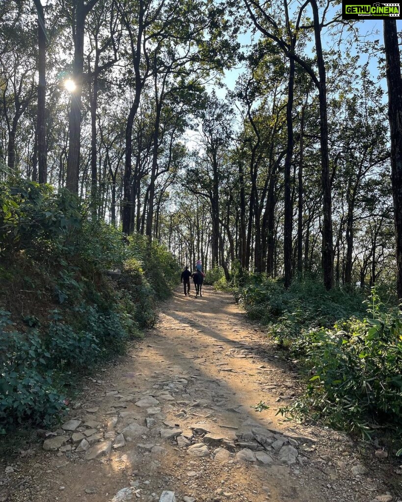 Lisa Ray Instagram - We had the most special pahadi experience riding through a canopy of Sal trees in Malsi forest organised by @hyattregencydehradun I grew up roaming in the woods and I believe the most essential legacy that can be left to the next generation is a deep reverence for nature. Thank you @hyattregencydehradun for making Sufi and Soleil’s day! By the way, the Sal tree is believed to be the “House of the Tribal Goddess” and is valued as a holy tree 🌳 Malsi Dear Park, Dehradun