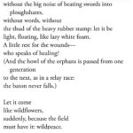 Lisa Ray Instagram - W I L D P E A C E By Yehuda Amichai, eminent Israeli poet and author #yehudaamichai #Israelipoet #peace