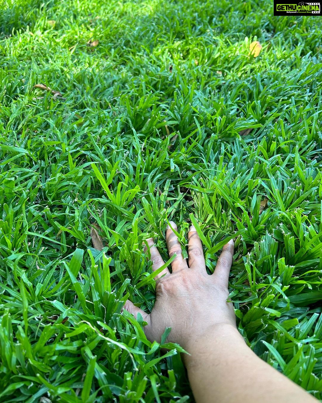 Lisa Ray Instagram - ‘Being daunted’, writes @katherinemay_ in her newest newsletter called ‘The Clearing’ ‘is the harbinger of every new venture.’ The ‘dauntedness’ can be experienced in many ways; a physical feeling, wavering attention, a tendency to feel sleepy and nip off for a nap when contemplating- as in my case- a blank page. I’m working on my next book and thought to take this quiet Sunday in Brisbane to walk the Botanic Garden and find a place to write. But of course I got distracted by the farmer’s market until I saw a stall for Polish delicacies which catapulted me into memories of my mom and all the love and unresolved issues we had. So I sat and began a poem about that. Dauntedness is of course related to fear. I get invited to share my cancer journey all over the world which I enjoy immensely, like the ‘Unsung Heroes’ event last night. I get called ‘brave’ for this. But fear is a slippery master. On one hand stories and story telling saved me. On the other-hand, writing the next story is so daunting. And scary. And so Katherine’s missive arrived just in time. What are you courageous about? And what in you instills paralysing fear? I’d love to hear in comments below. Read Katherine’s message. It might comfort you as much as it did for me. Happy Sunday! ‘The root of this, of course, is fear: fear of not being equal to this new project; fear of making a fool of myself; fear of alienating the people who respect my work. You would think that this fear diminishes over time, but actually, it gets worse. The stakes are higher now than they used to be. There is further to fall. It comforts me to think of this fear as a great unifier. It links my current self to the version of me who first sat down to write seriously as an adult, her head filled with ambition and shame. It links me to the new writers who sometimes comment on my page to say, I just don’t know how to make that leap. It is, I think, an expression of the importance we place on this work, which can seem so silly in a certain light, but which is actually deadly serious. It illuminates a vision of our future that is so precious that we can hardly bear to look at it.’ - @katherinemay_ Brisbane, Queensland, Australia