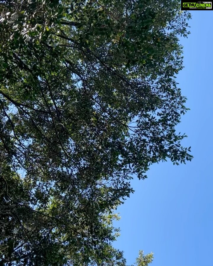 Lisa Ray Instagram - ‘Being daunted’, writes @katherinemay_ in her newest newsletter called ‘The Clearing’ ‘is the harbinger of every new venture.’ The ‘dauntedness’ can be experienced in many ways; a physical feeling, wavering attention, a tendency to feel sleepy and nip off for a nap when contemplating- as in my case- a blank page. I’m working on my next book and thought to take this quiet Sunday in Brisbane to walk the Botanic Garden and find a place to write. But of course I got distracted by the farmer’s market until I saw a stall for Polish delicacies which catapulted me into memories of my mom and all the love and unresolved issues we had. So I sat and began a poem about that. Dauntedness is of course related to fear. I get invited to share my cancer journey all over the world which I enjoy immensely, like the ‘Unsung Heroes’ event last night. I get called ‘brave’ for this. But fear is a slippery master. On one hand stories and story telling saved me. On the other-hand, writing the next story is so daunting. And scary. And so Katherine’s missive arrived just in time. What are you courageous about? And what in you instills paralysing fear? I’d love to hear in comments below. Read Katherine’s message. It might comfort you as much as it did for me. Happy Sunday! ‘The root of this, of course, is fear: fear of not being equal to this new project; fear of making a fool of myself; fear of alienating the people who respect my work. You would think that this fear diminishes over time, but actually, it gets worse. The stakes are higher now than they used to be. There is further to fall. It comforts me to think of this fear as a great unifier. It links my current self to the version of me who first sat down to write seriously as an adult, her head filled with ambition and shame. It links me to the new writers who sometimes comment on my page to say, I just don’t know how to make that leap. It is, I think, an expression of the importance we place on this work, which can seem so silly in a certain light, but which is actually deadly serious. It illuminates a vision of our future that is so precious that we can hardly bear to look at it.’ - @katherinemay_ Brisbane, Queensland, Australia