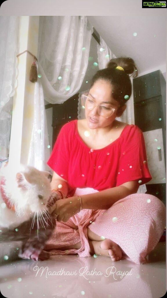 Madhavi Latha Instagram - Cutie cleaning time #catsofinstagram #catlifestyle #persiancat #whitecat #attitudecats #cutiebaby
