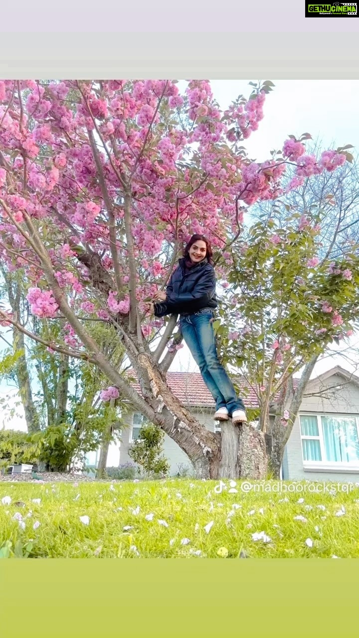 Madhoo Instagram - No words no captions no hashtags JUST A THING OF BEAUTY