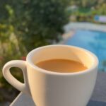 Madhu Sharma Instagram – Chai 

#chai #chailovers #tea #tealover #ree #reels #reelsinstagram #reelsvideo #reelitfeelit #reelsindia