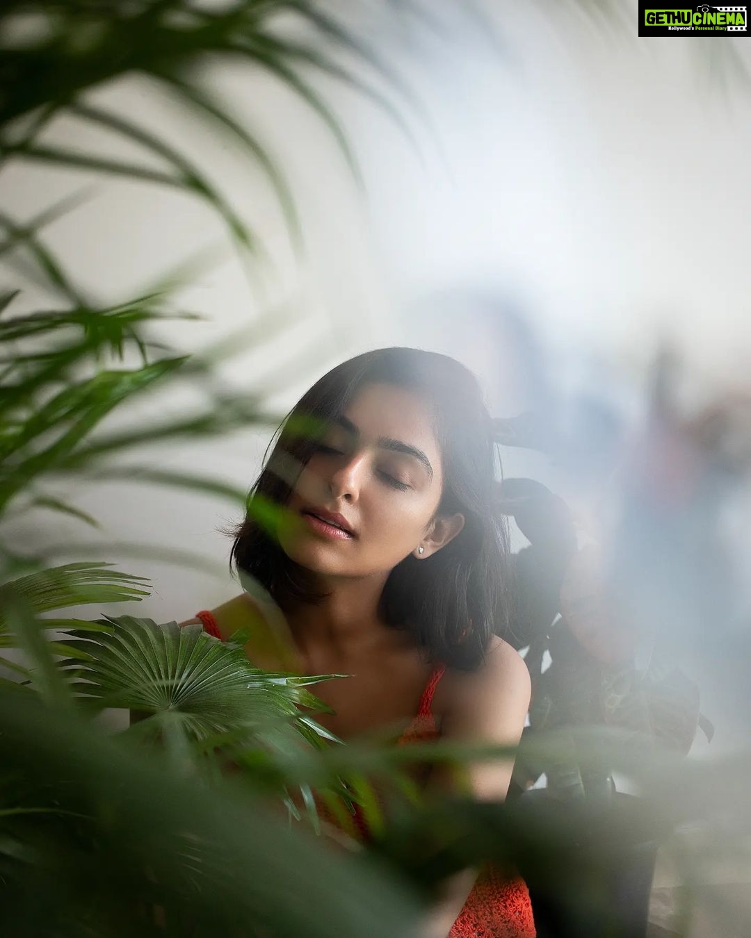 Maira Doshi Instagram - @maira_doshi ☘️ #actress #portrait #photography #photoshoot #photoseries #mumbai #naturallight #raw #bollywood #actorslife #magazine #mf #plants #indianactress #fresh #portraitpage #portraiture #portraitmood #mood #portraits #photodaily #instadaily #photooftheday #potd #portraitphotography #fashion #fashionphotography Mumbai, Maharashtra
