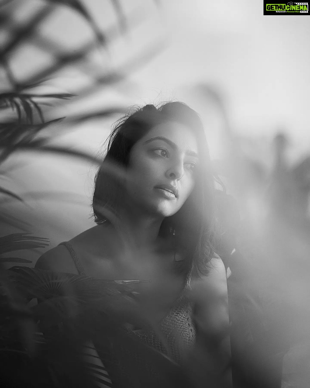 Maira Doshi Instagram - @maira_doshi ☘️ #actress #portrait #photography #photoshoot #photoseries #mumbai #naturallight #raw #bollywood #actorslife #magazine #mf #plants #indianactress #fresh #portraitpage #portraiture #portraitmood #mood #portraits #photodaily #instadaily #photooftheday #potd #portraitphotography #fashion #fashionphotography Mumbai, Maharashtra