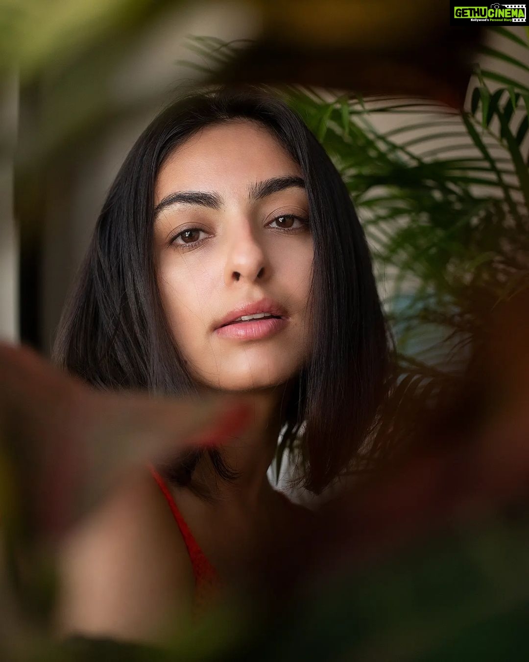 Maira Doshi Instagram - @maira_doshi ☘️ #actress #portrait #photography #photoshoot #photoseries #mumbai #naturallight #raw #bollywood #actorslife #magazine #mf #plants #indianactress #fresh #portraitpage #portraiture #portraitmood #mood #portraits #photodaily #instadaily #photooftheday #potd #portraitphotography #fashion #fashionphotography Mumbai, Maharashtra
