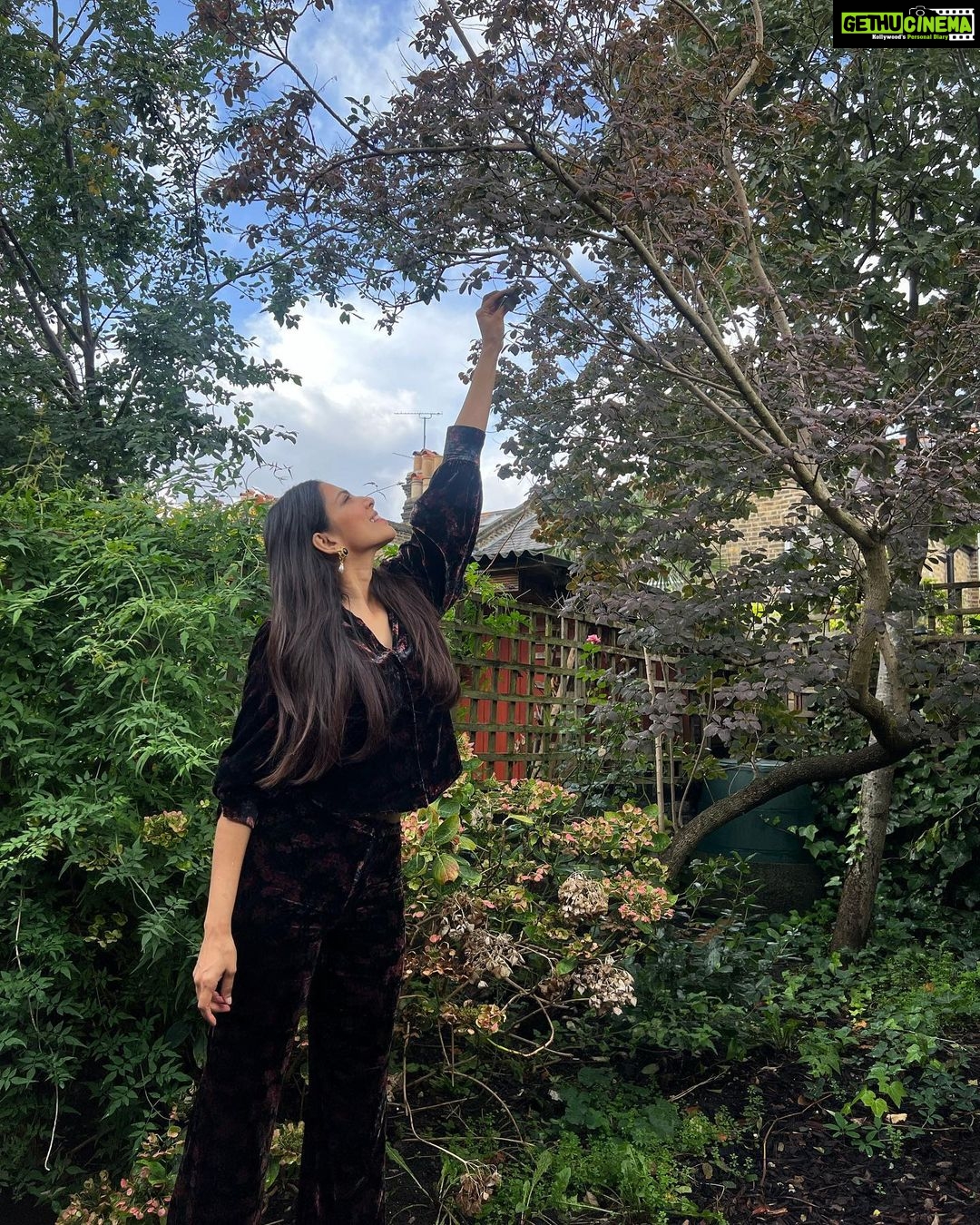 Malavika Mohanan Instagram - Finally got to spend some quality time with my little 🐒 in one of our favourite cities! ♥️ This is the cutest Airbnb we could’ve asked for! Thanks for the gift @airbnb ♥️ We loved every minute of it ☺️ London, United Kingdom