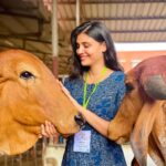 Malti Chahar Instagram - Sabko pyaar chahiye❤️ #singles on #karwachauth 😁 Beautiful pics clicked by beautiful @jyotimandelia 😘 #adorable #cows #love Art of Living International Center, Bangalore