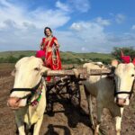 Manasi Naik Instagram - आयुष्य एकच ☝आहे पण , त्याला चांगल्या 👌प्रकारे जगलं ना तर एकचं खूप 💫आहे…😇 Thank you Universe 💫 I will Not Give Up Growing Glowing And Healing ❤️‍🩹 #ManasiNaik #Actor #Performer #Beingme #OnMyOwn #Beauty #OOTD #fashionstyle #MyStyle #Secret #grattitude #Happy #survivor #Growing #Glowing #WorkingHard #WatchMeGrow #ThankYou #SelfRealisation #survivor #Cultured #Morals #Focused #mentalhealthawareness #MentalPeace #NewDreams #NeverGiveUp #newbeginnings 🧿 #CatMomOf12