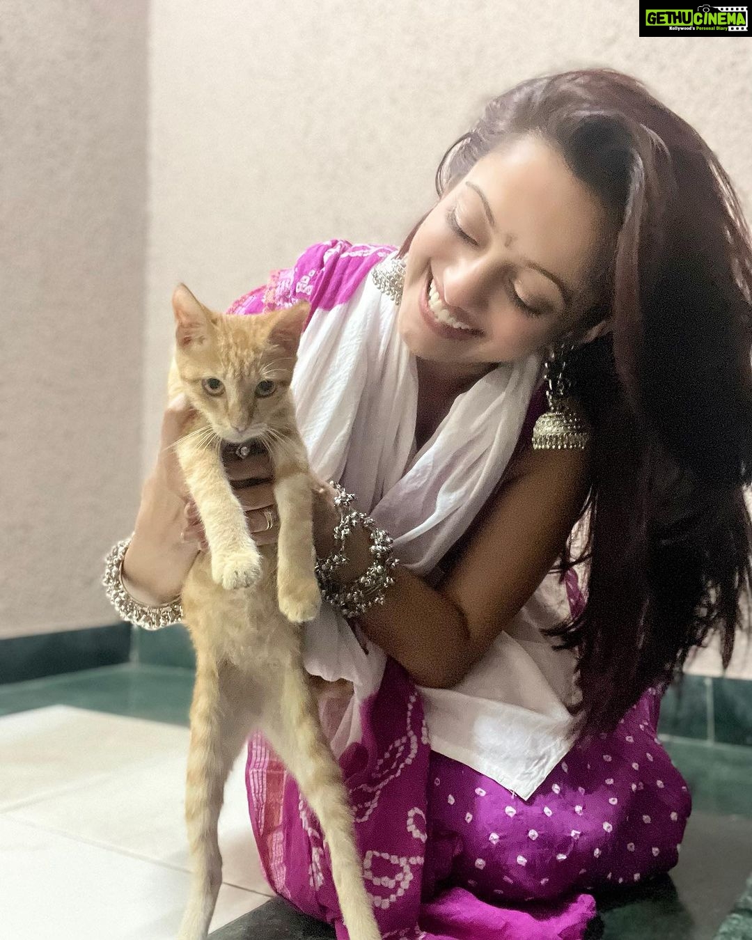 Manasi Naik Instagram - 🌸 Thank you Universe 💫 I will Not Give Up Growing Glowing And Healing ❤️🩹 #ManasiNaik #Actor #Performer #Beingme #OnMyOwn #Beauty #OOTD #fashionstyle #MyStyle #Secret #grattitude #Happy #survivor #Growing #Glowing #WorkingHard #WatchMeGrow #ThankYou #SelfRealisation #survivor #Cultured #Morals #Focused #mentalhealthawareness #MentalPeace #NewDreams #NeverGiveUp #newbeginnings 🧿 #CatMomOf12