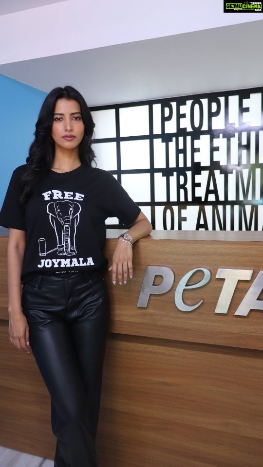 Manasvi Mamgai Instagram - This #WorldElephantDay, actor and PETA India spokesperson @imanasvi wants you to help #FreeJoymala. Visit PETAIndia.com/FreeJoymala or click the link in the bio to help free this suffering elephant now. #ManasviMamgaiForPETAIndia #NotOursToAbuse #ElephantsBelongInTheWild #AnimalRights #PETAIndia