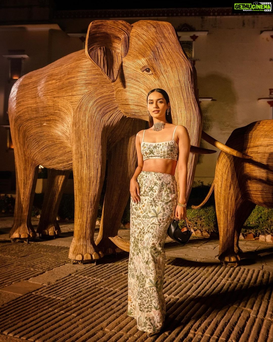Manushi Chhillar Instagram - 🤎🤎 Absolutely enjoyed every bit of last night with @anitadongre @dongreanita_ @theleelapalace_jaipur @theleela @jaipurcitypalace @princessdiyakumarifoundation #BeKindRewild #AnitaDongreRewild City Palace, Jaipur