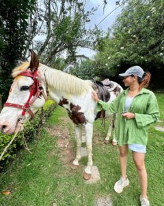 Manvita Kamath Instagram - Ram, the horse,standing tall and proud…radiating an aura of elegance, serenity and grace! 🐴✨ . . . #kodaikanal @greattrailsbygrt
