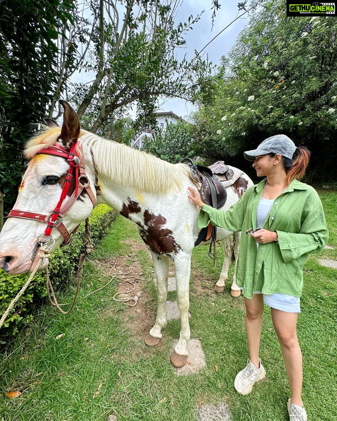 Manvita Kamath Instagram - Ram, the horse,standing tall and proud…radiating an aura of elegance, serenity and grace! 🐴✨ . . . #kodaikanal @greattrailsbygrt