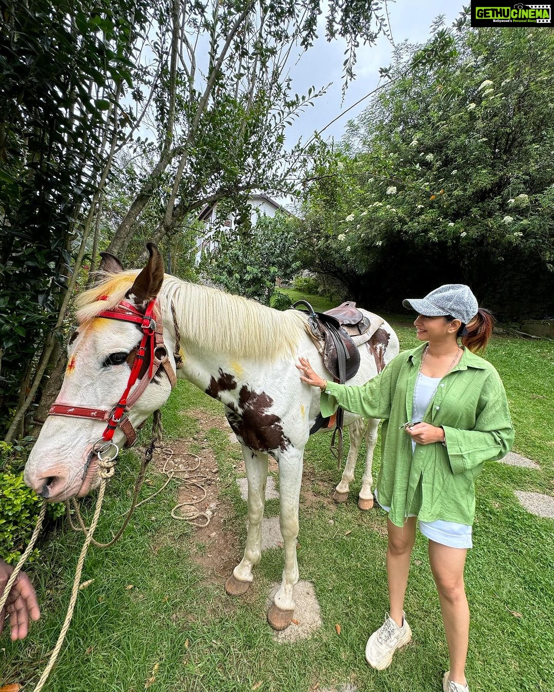 Manvita Kamath Instagram - Ram, the horse,standing tall and proud…radiating an aura of elegance, serenity and grace! 🐴✨ . . . #kodaikanal @greattrailsbygrt