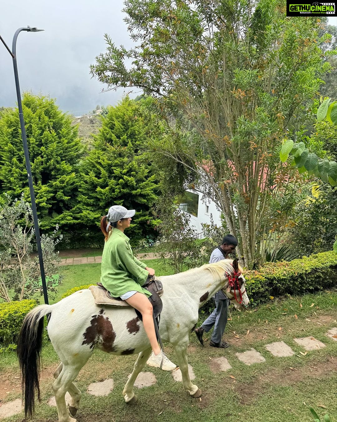 Manvita Kamath Instagram - Ram, the horse,standing tall and proud…radiating an aura of elegance, serenity and grace! 🐴✨ . . . #kodaikanal @greattrailsbygrt