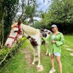 Manvita Kamath Instagram – Ram, the horse,standing tall and proud…radiating an aura of elegance, serenity and grace! 🐴✨
.
.
.
#kodaikanal 
@greattrailsbygrt