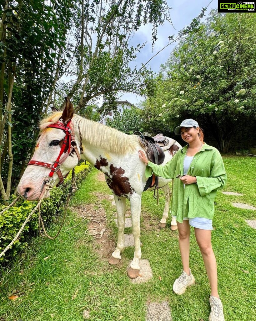 Manvita Kamath Instagram - Ram, the horse,standing tall and proud…radiating an aura of elegance, serenity and grace! 🐴✨ . . . #kodaikanal @greattrailsbygrt