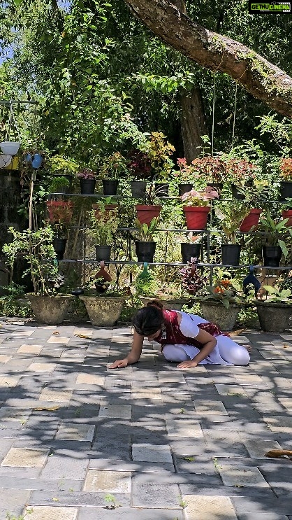 Meenakshi Raveendran Instagram - A snippet from our practice session. Excuse our slight imperfections. #practicesession#dance#rara#classicaldance#chadramukhi