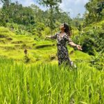 Meera Nandan Instagram – Happiest amidst nature 🌴

#bali2023 #letsgobali #lovenature #green #goldfm #bestrip #allheart #positivevibes #onlylove #instagood Rice Terrace Tegalalang