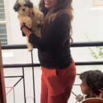 Meghashree Instagram - Finally my boy came 🐾🐕🧿♥️ welcome home🤗 #LUCKY🧿 15-11-2023 . . #simba #dream #hopes #doglover #bekind #lifeforever #meghashreegowda #viral #trendingreels #love #loveforever #pet #petlovers #shitzulovers #shihtzusofinstagram #shihtzu #dogs #fun #funny #dogsofinstgram