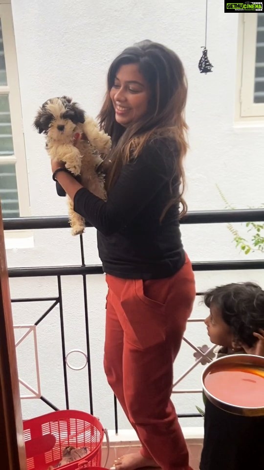 Meghashree Instagram - Finally my boy came 🐾🐕🧿♥️ welcome home🤗 #LUCKY🧿 15-11-2023 . . #simba #dream #hopes #doglover #bekind #lifeforever #meghashreegowda #viral #trendingreels #love #loveforever #pet #petlovers #shitzulovers #shihtzusofinstagram #shihtzu #dogs #fun #funny #dogsofinstgram