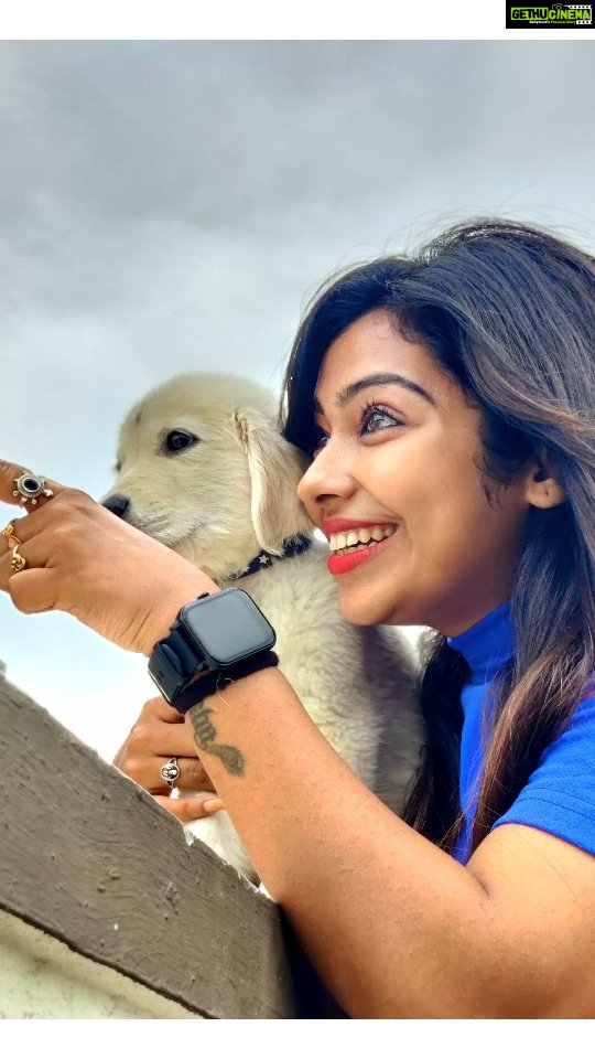 Meghashree - 1.3K Likes - No one can replace Dog love❤️🧿🐶🐕
.
.
#purelove #doglover #forever #meghashreegowda