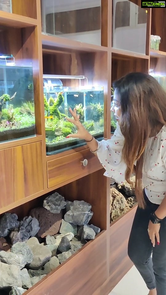 Meghashree Instagram - Must visit @newkingaquarium Contact number: 9742786429