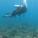 Michael Ajay Instagram – Discover a whole new world underwater with me 🤿 

#michaelajay #diving #scuba #maldives #bluewater #underwaterlife #openwaterdiver #travelgram Maldives