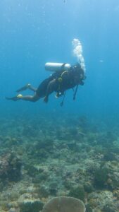 Michael Ajay Instagram - Discover a whole new world underwater with me 🤿 

#michaelajay #diving #scuba #maldives #bluewater #underwaterlife #openwaterdiver #travelgram