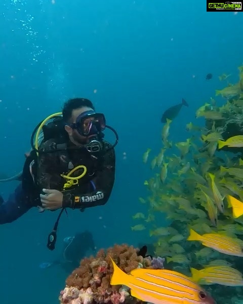 Michael Ajay Instagram - One of the things that has given me the greatest joy in life is introducing the underwater world to my friends and sharing it with them. (Watch the last video!) #manta Over the past two weeks I finally managed to convince @karnrateria @michaelajayofficial @allthingssameer and @ashwin_kulkarni to take the plunge. The are all Open Water Certified divers now - thanks ro @fleetfootadventures! Congratulations guys!! I also reconnected with my buddies @jaypunjabi_ @rohinbachwani @djsanjaydutta @leicagrapher and @carlosdonoso on our amazing Liveaboard trip and made nee friends too! @emma.tolmie @coteugarter @lukamp @catabarra @davesorrellsaunders @cpabloalarcon @emperordivers_ Thank you for making it such a memorable trip for us all!! Mostly, thanks to my buddy, my brother and my underwater guru Nitish aka @fleetfootadventures for making all of this possible! ❤💯 #Maldives #fleetfootadventures #DiveDiary #Seiko #prospex