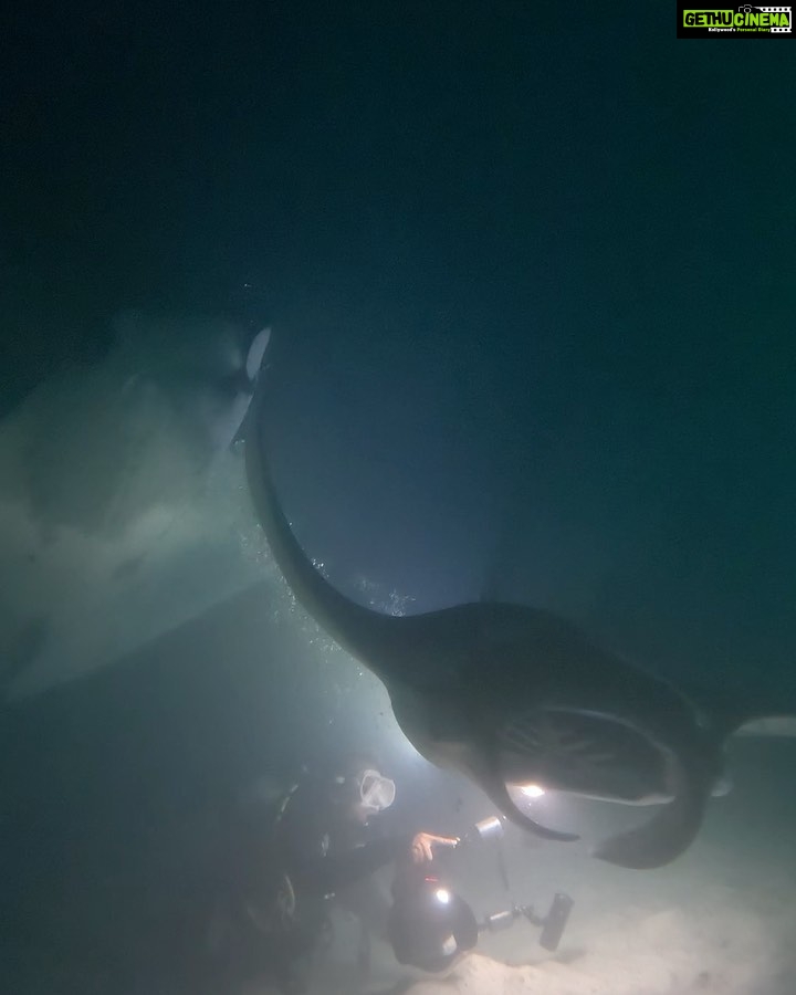 Michael Ajay Instagram - One of the things that has given me the greatest joy in life is introducing the underwater world to my friends and sharing it with them. (Watch the last video!) #manta Over the past two weeks I finally managed to convince @karnrateria @michaelajayofficial @allthingssameer and @ashwin_kulkarni to take the plunge. The are all Open Water Certified divers now - thanks ro @fleetfootadventures! Congratulations guys!! I also reconnected with my buddies @jaypunjabi_ @rohinbachwani @djsanjaydutta @leicagrapher and @carlosdonoso on our amazing Liveaboard trip and made nee friends too! @emma.tolmie @coteugarter @lukamp @catabarra @davesorrellsaunders @cpabloalarcon @emperordivers_ Thank you for making it such a memorable trip for us all!! Mostly, thanks to my buddy, my brother and my underwater guru Nitish aka @fleetfootadventures for making all of this possible! ❤💯 #Maldives #fleetfootadventures #DiveDiary #Seiko #prospex