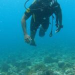 Michael Ajay Instagram – Maldives or should I say malDIVEs! What an adventure !! @nikhilchinapa @fleetfootadventures thanks for the adventures! And @faathi.faathi thanks for the amazing pictures. Day 3 and 4 reels coming soon 🔥 Maafushi Island
