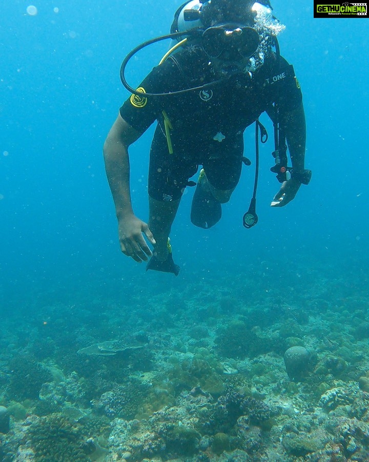 Michael Ajay Instagram - Maldives or should I say malDIVEs! What an adventure !! @nikhilchinapa @fleetfootadventures thanks for the adventures! And @faathi.faathi thanks for the amazing pictures. Day 3 and 4 reels coming soon 🔥 Maafushi Island