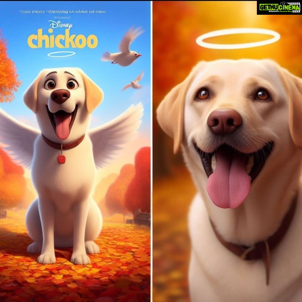 Mimi Chakraborty Instagram - He was a star of my life, and now where ever he is he will be the guiding star of my life⭐️ forever ⭐️ Thank you @gogol_the_bengali_retriever for the creative, this made me cry nd smile at the same time🌟 And a heartfelt gratitude nd thanks to all who wished my angel today💕