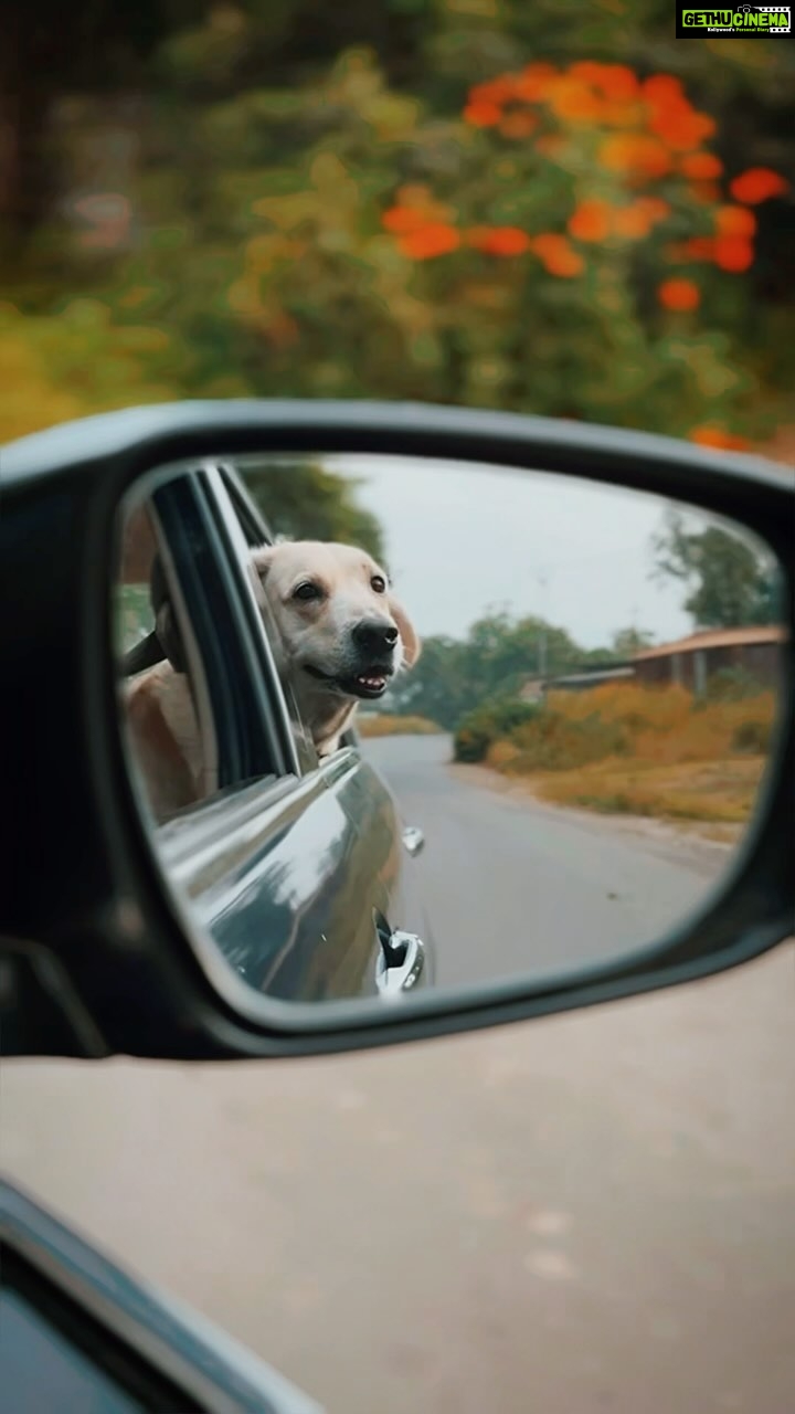 Mitali Mayekar Instagram - We cant let winter win!🍀 . . #adayout #tinypanda #dorathedog #shotoniphone
