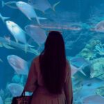 Mitali Mayekar Instagram - I haven’t been everywhere, but it’s definitely on my list.🌸 My secret for planning all my trips, from Hotels to Flight tickets was @kayak_in , download the app and check out the amazing features on the app and plan your next trip.✈️ #kayakindia #kayak #travel #travelgram #ad