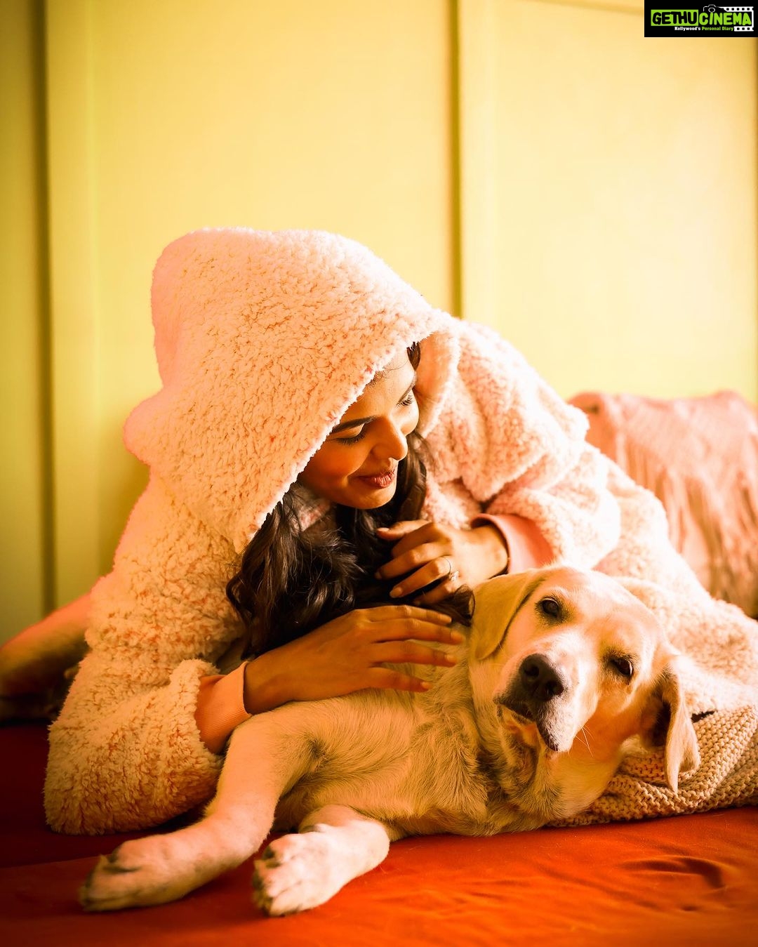 Mitali Mayekar Instagram - Happy Birthday माझं बाळ!🥹❤️ You mean the world to me.🌻 #dora #dorathedog #biggirl #mygirl #dogsofinstagram