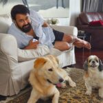 Mohanlal Instagram - Finally convinced Casper and Whiskey to pose with me! 🐶