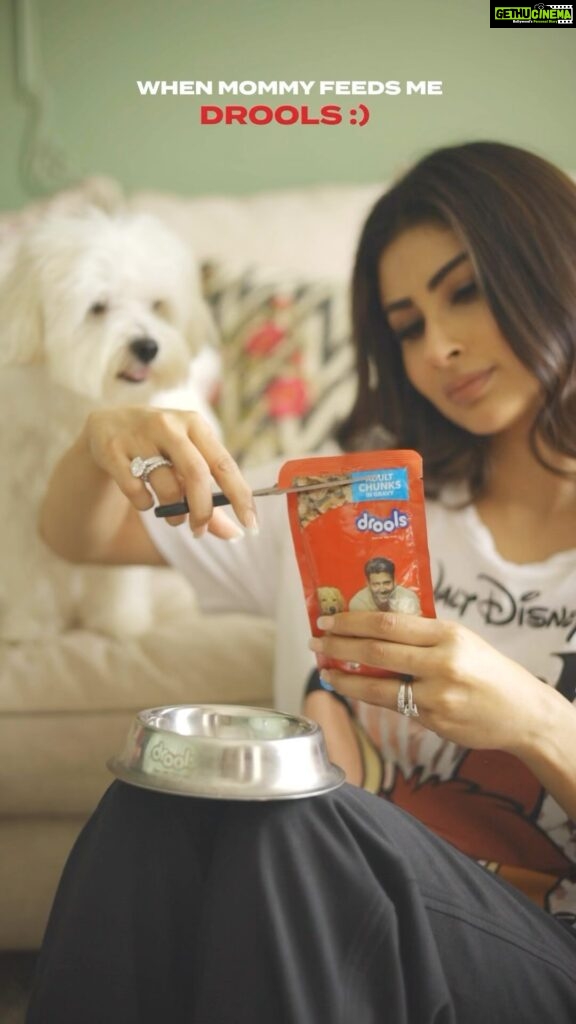 Mouni Roy Instagram - My pooch is at his happiest when I serve him DROOLS! 😋🐾 The delicious paw-licking Drools Wet Gravy made with real ingredients & 0 fillers, adds a gourmet touch to his meals with an extra boost of hydration 💦 With @Droolsindia - Feed Real Feed Clean ❤️ #droolsindia #pets #petlovers #gravy #petfood #nutrition